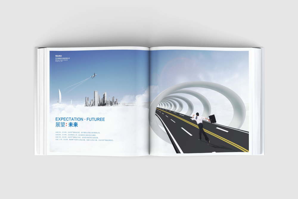 隆回县画册设计